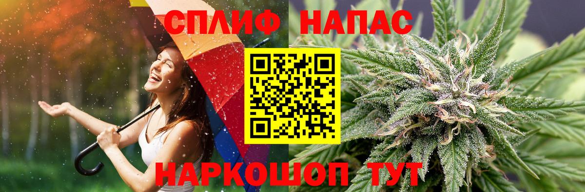 Бошки Шишки сатива  Вход с VPN  Конопля семена  Изобильный 